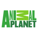 Animal Planet